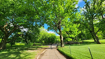 Rented by Bond New York