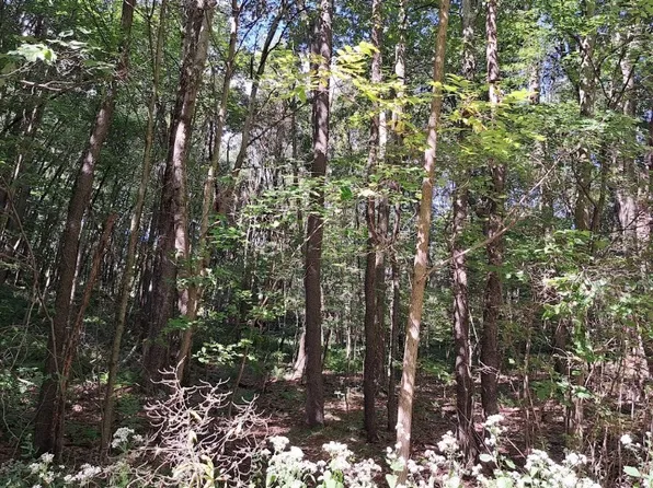 0 Chicora Rd, Chicora, PA 16025