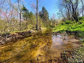 2nd image of 10788 Spicer Rd
