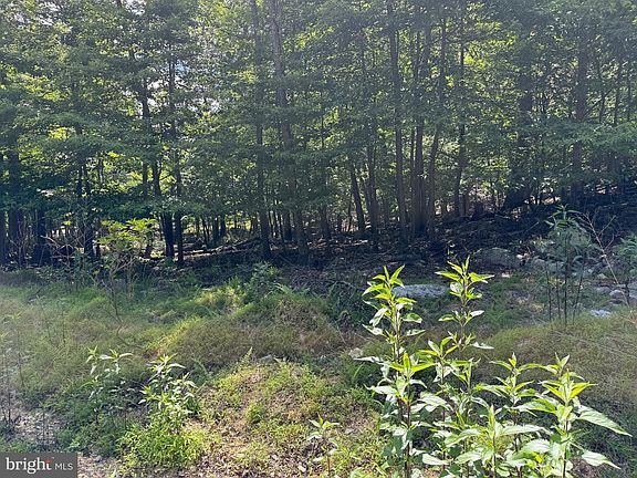 3rd image of Roberts Rd