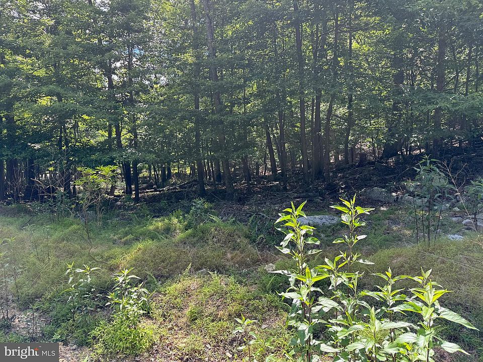 2nd image of Roberts Rd