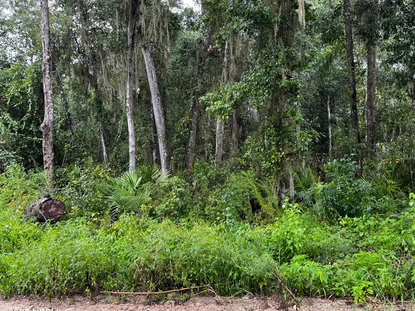 109 WOODLAWN Road, Satsuma, FL 32189