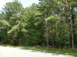 211 Westwoods Dr, Chapin, SC 29036