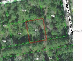 13124 Duchess Ave, New Port Richey, FL 34654