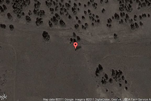 Map View
