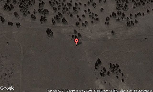 Map View