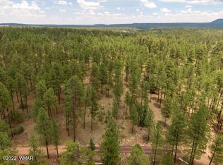 Off Wyoming Ln, Lakeside, AZ 85929