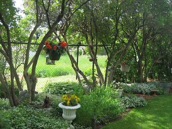 Pretty yard