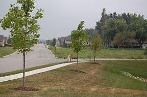 4th image of 585 Mildred Dr