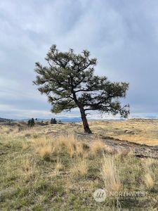 0 McLaughlin Cyn Road, Tonasket, WA, 98855