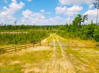 Sinai Rd, Sneads, FL 32460