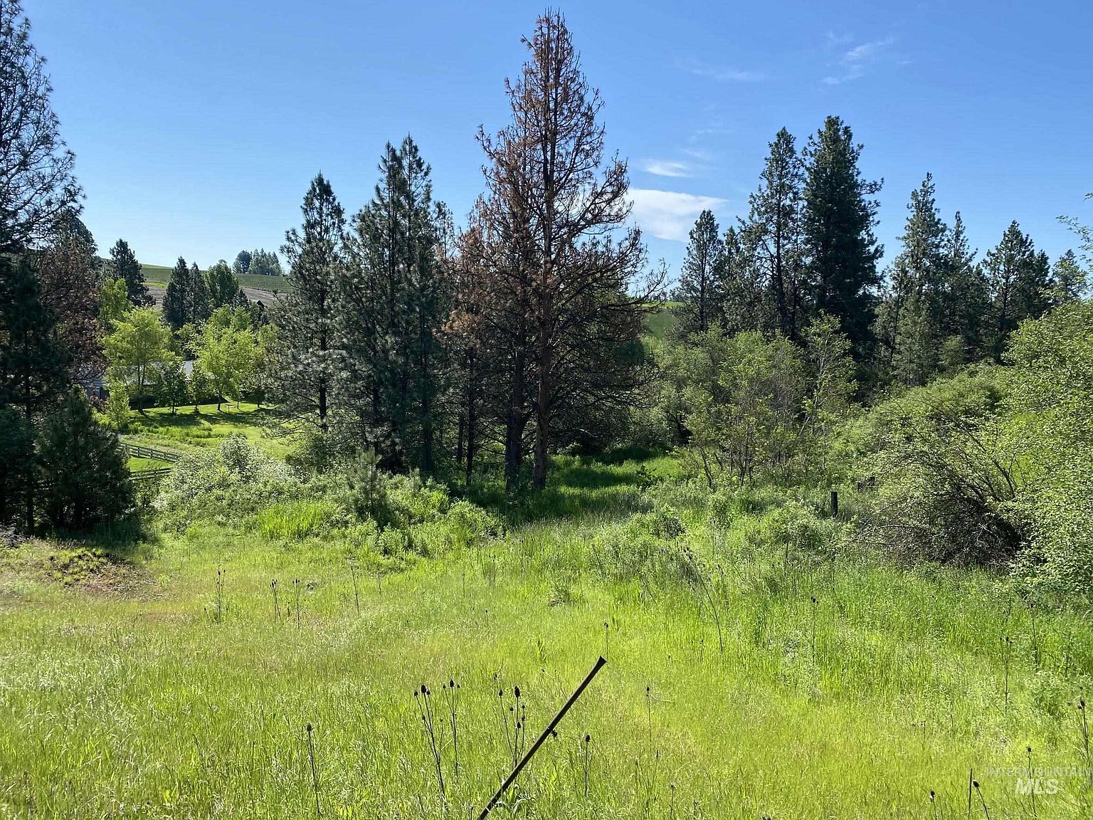 Nka Driscoll Ridge Rd, Troy, ID 83871 Zillow
