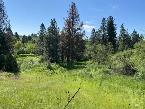 Nka Driscoll Ridge Rd, Troy, ID 83871