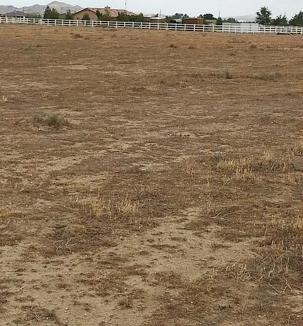 1st image of Avenue A6 Vic 74 Stw Antelope Acres