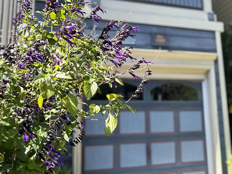 1914 Golden Gate Ave — Photo 5
