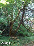 1st image of 5385 Siletz Hwy
