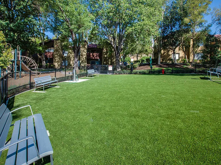 On-site, fenced-in play area to let your furry friends run off-leash