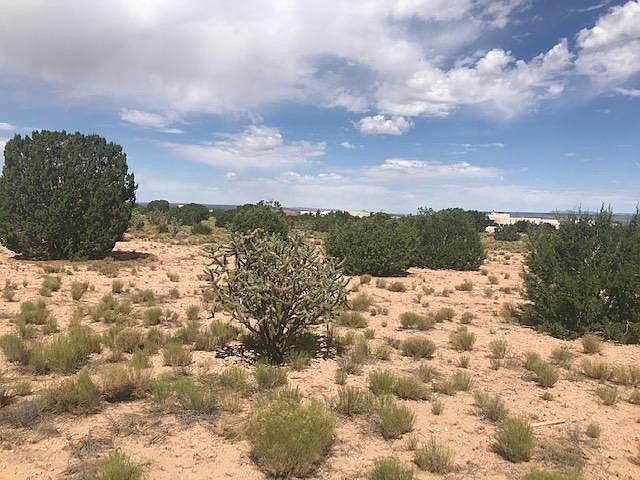 2nd image of Palomino Rd