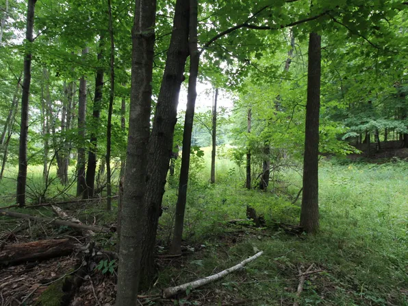 1540 Hines Lakeview Dr, Cumberland, WI 54829