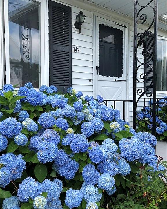 142 Renfrew Ave, Middletown, RI 02842 Zillow