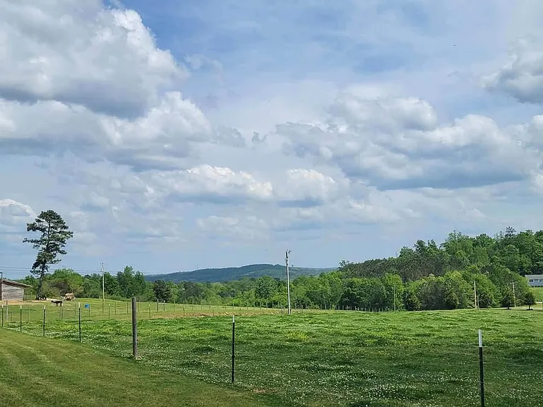 1730 County Road 803 — Photo 7