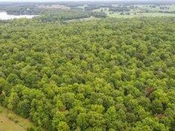 000 County Road 9000 (Tract 2), West Plains, MO 65775