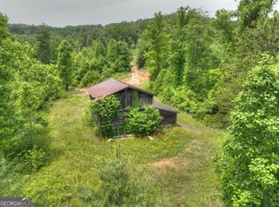 1 Hidden Cove Rd, Blue Ridge, GA 30513