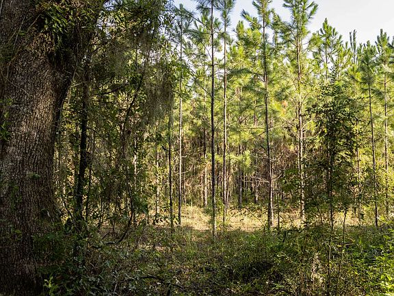 4th image of 0 185th Rd