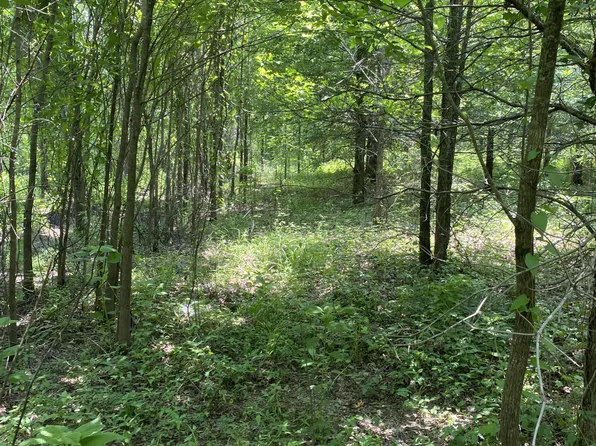 Grassy Lake Rd, Charleston, MS 38921