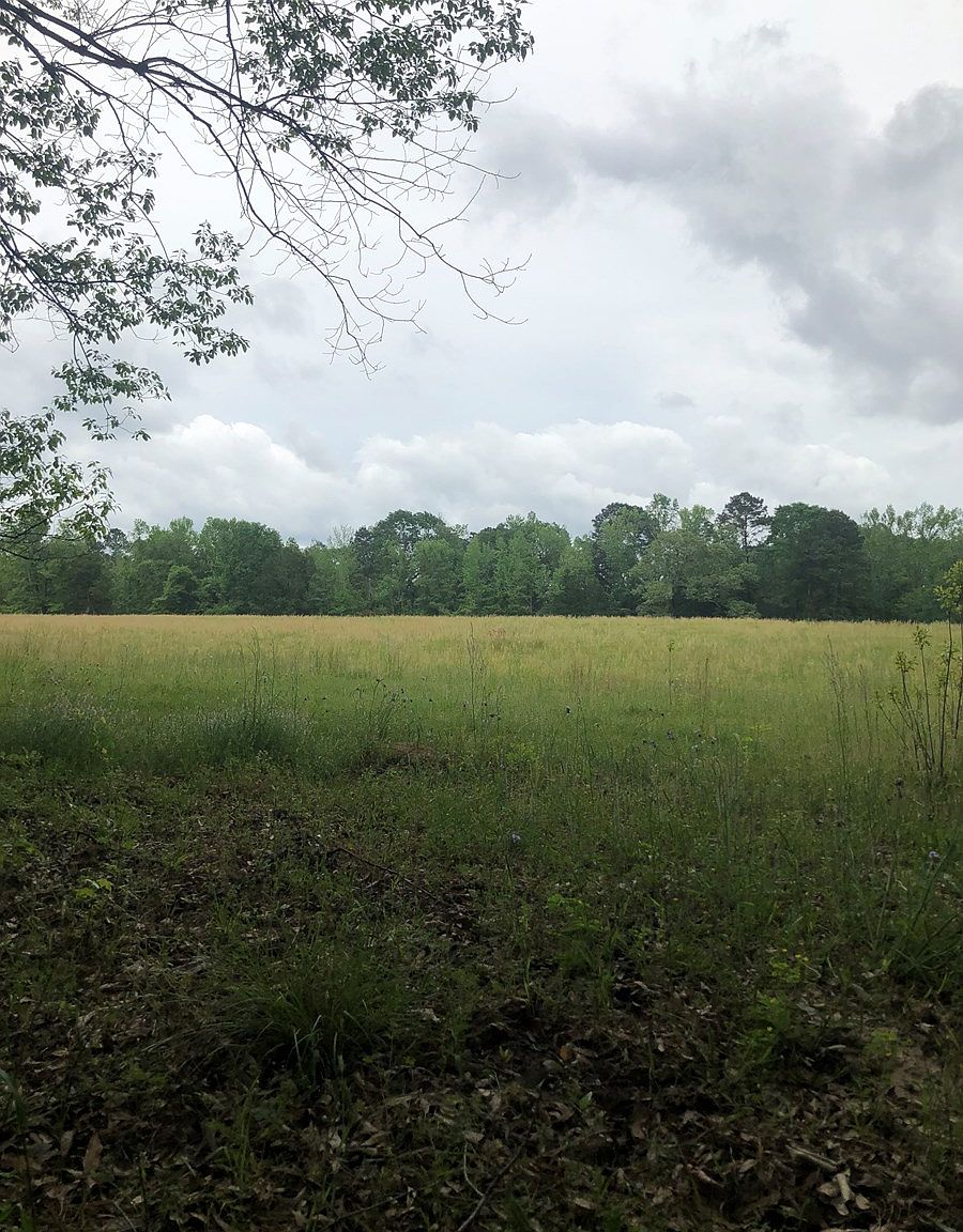 350 Loggins Rd Bronson Tx 75930, Bronson, TX 75930 Zillow