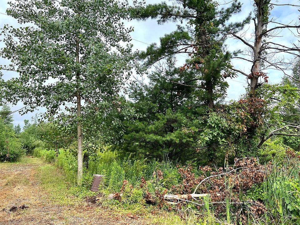 2nd image of Maple Island Rd
