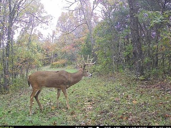 2nd image of 0 Fork Lick Rd Lot Wwp001