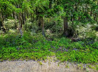 10205 Eckenstam Johnson Road, Anderson Island, WA