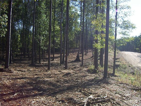 2nd image of 4275 SE Lee Road 56 #3