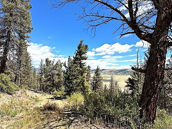 2nd image of 2022 Middle Fork