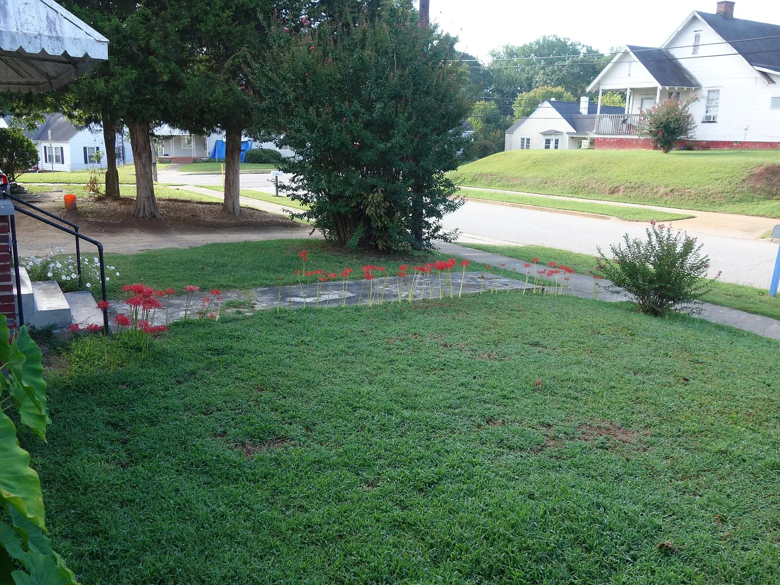 2 bed, 1250 sqft, $775 — Photo 4