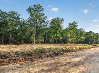 004 Cantrell Road, Mansfield, MO 65704