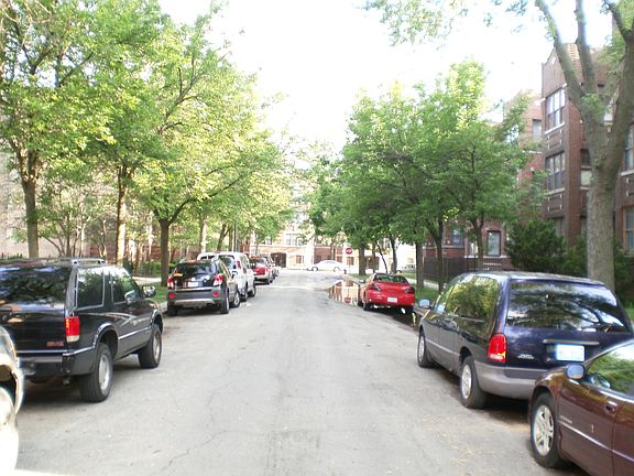 Beautiful Tree Lined Street