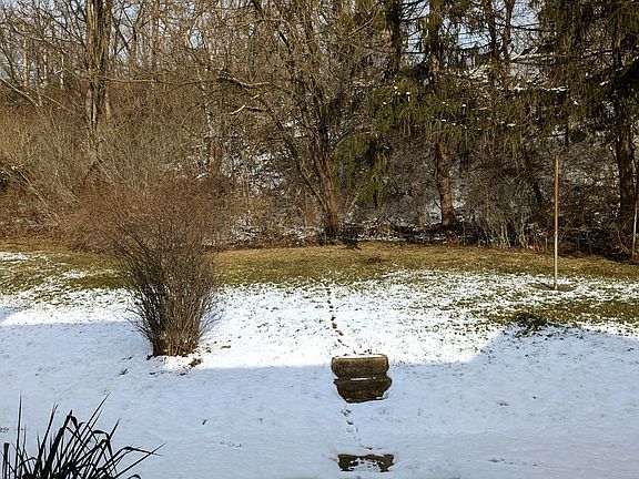 Large back and side yard