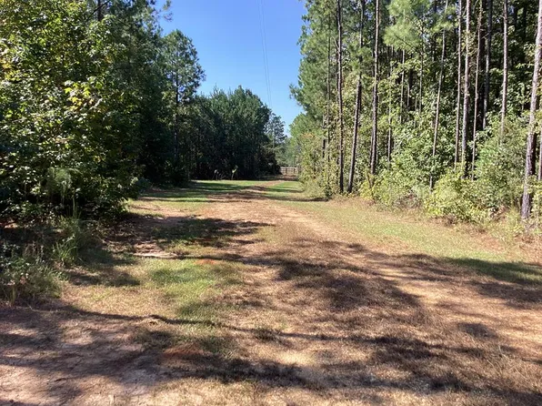 16095 Halso Mill Rd, Greenville, AL 36037