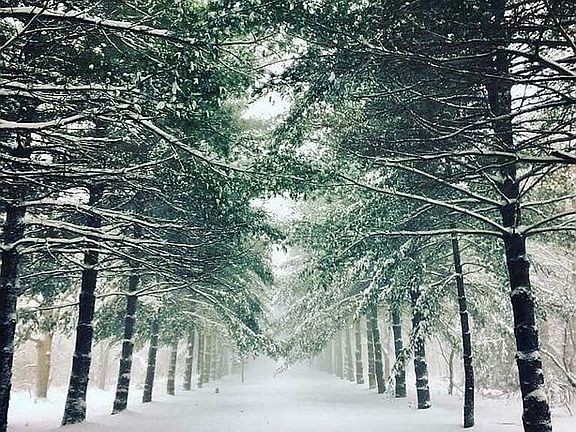 Southern style driveway