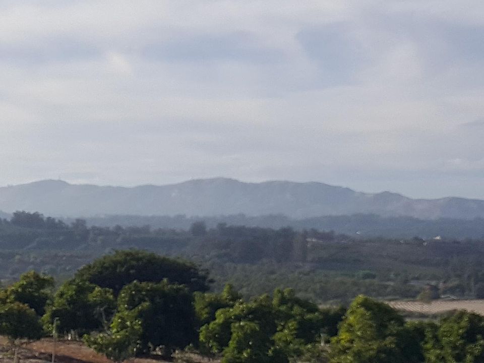 A beautiful lazy morning