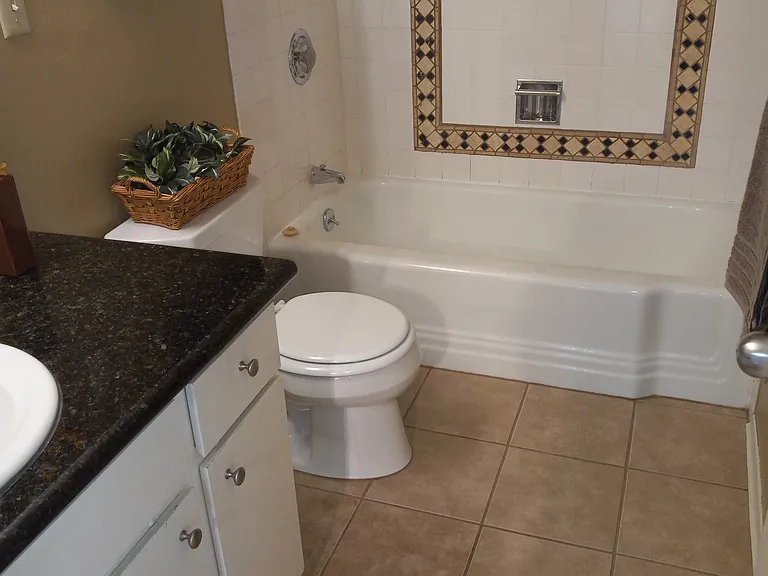 Bathroom tub and shower
