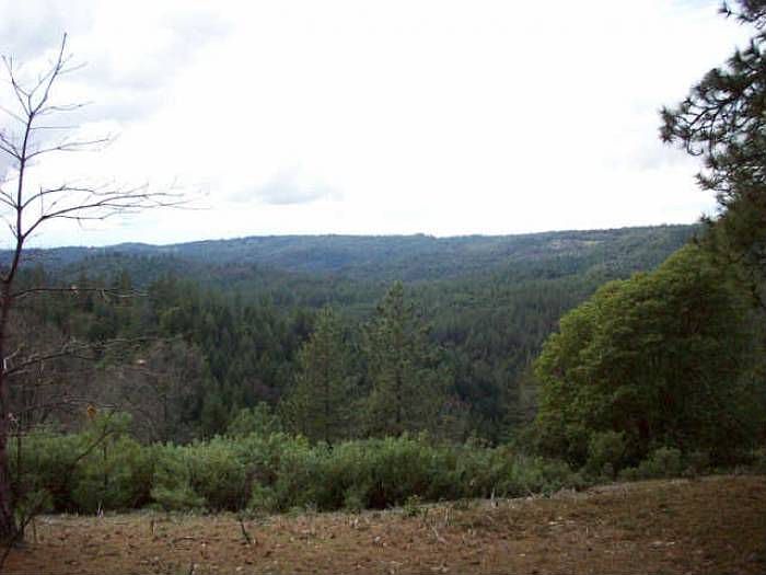 1st image of 24951 Sugar Pine Dr