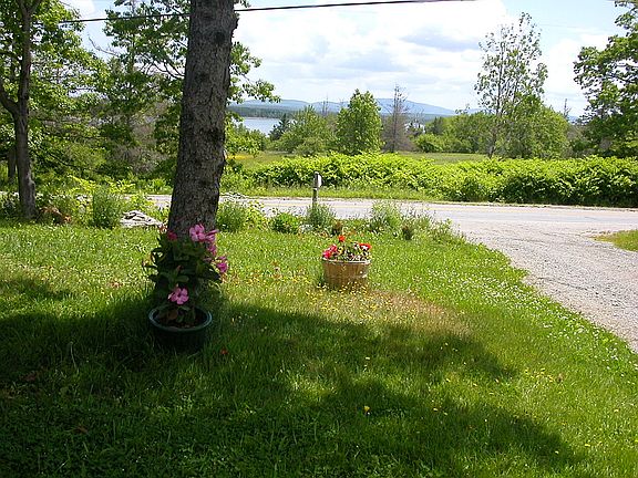 View from house