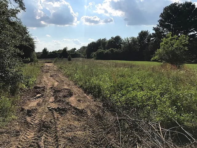 Manuel Rd — Photo 11