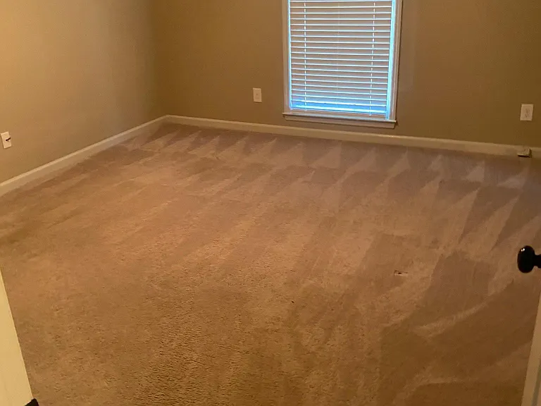 113 Springfield Ln — Photo 11