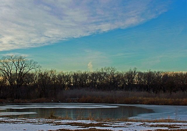 View of the lake out the back yard