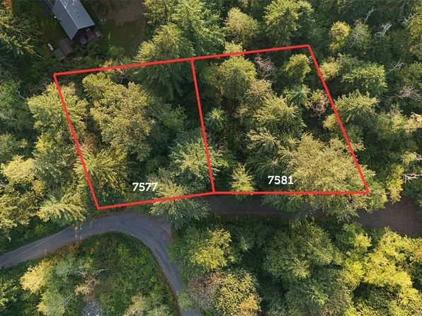 7581 Glacier Springs Drive, Glacier, WA 98244