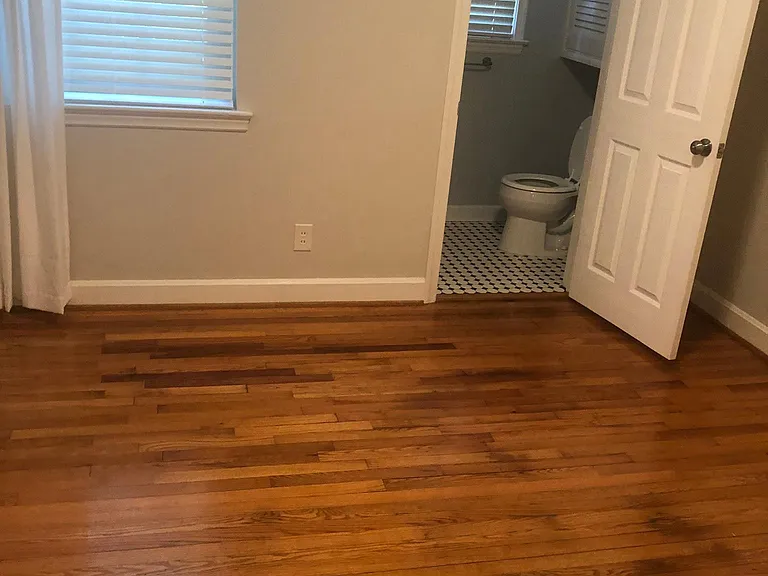 101 Forestdale Dr — Photo 18